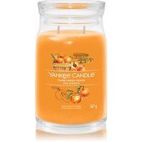 Yankee Candle Farm Fresh Peach Duftkerze von Yankee Candle