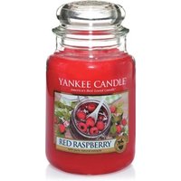 Yankee Candle Red Raspberry Housewarmer Duftkerze von Yankee Candle