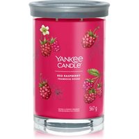 Yankee Candle Red Raspberry Signature Large Tumbler Duftkerze Yankee Candle Red Raspberry Signature Large Tumbler Duftkerze von Yankee Candle