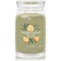 Yankee Candle Sage & Citrus Duftkerze von Yankee Candle