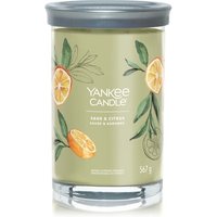 Yankee Candle Sage & Citrus Signature Large Tumbler Duftkerze von Yankee Candle