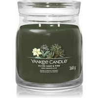 Yankee Candle Siver Sage & Pine Signature Jar Duftkerze von Yankee Candle