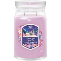 Yankee Candle Summit Stargazing Signature Jar Duftkerze von Yankee Candle