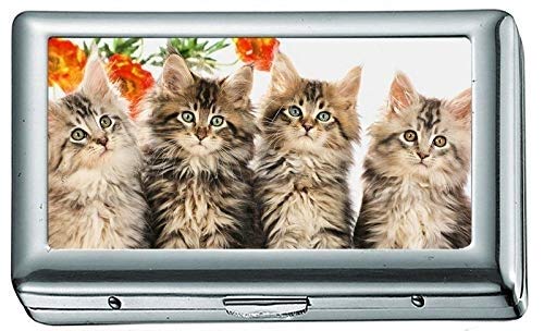 Hard Box Full Pack Zigarettenetui, Vier süße kleine Katze Zigarettenetui/Box, Kreditkartenetui für Frauen Männer von Yanteng