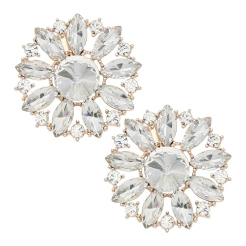 Yardenfun 2 Stück Schuhclips Kreative Schuhdekoration für Frauen Abnehmbare Accessoires für Hochzeiten Partys Besondere Anlässe von Yardenfun