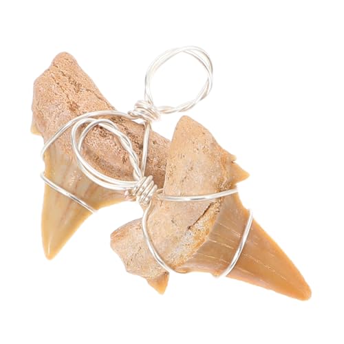 Yardwe 2 Stück Haifischzahn Halsketten für Männer Verstellbar Charm Anhänger für Selbstgemacht Schmuck für Outdoor Aktivitäten von Yardwe