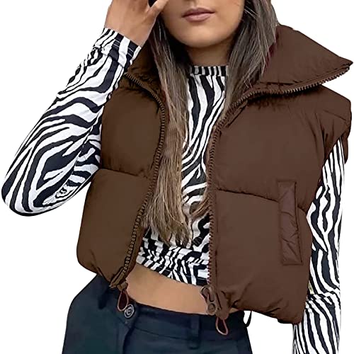 Yassiglia Damen Weste Kurze Ärmellose Jacke Warme Steppweste ohne Kapuze Daunenweste Winter Frühling Stehkragen, Gesteppt, Leicht (Kaffeebraun mit Taschen, Medium) von Yassiglia