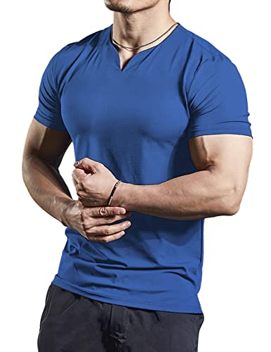 Herren Mesh Athletic T-Shirts mit geteiltem V-Ausschnitt für Fitnesstraining Bodybuilding Color Blau Size L von Ychnaim