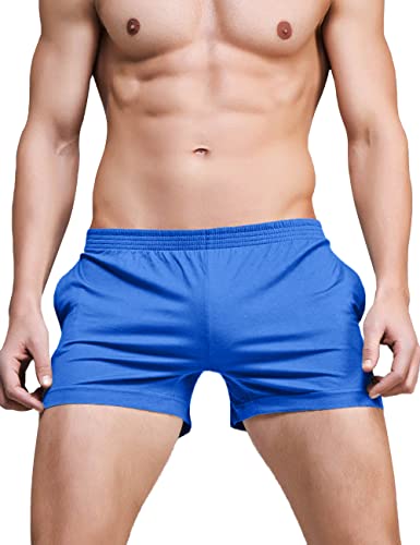 Ychnaim Herren Laufshorts mit 3" Innennaht Leichte Fitness Fitness Workout Bodybuilding Trainings Baumwoll Freizeit Shorts mit Schrägtaschen Color Blaue Size L von Ychnaim