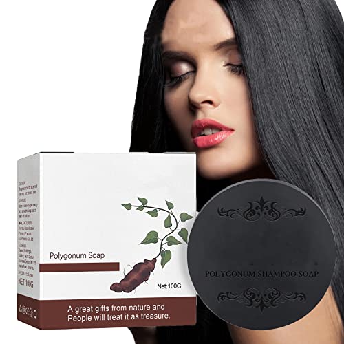 Festes Shampoo-Stück,Natürliche Polygonum Multiflorum Haarseife,Polygonum Shampoo Bar,Haar Verdunkelung Shampoo Bar,Anti-haarausfall Shampoo-Bar,Verhindert Haarausfall für Männer und Frauen von Yelewy