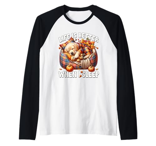 Cozy Fall Labrador Graphic for Women Men Kids Autumn Sleep Raglan von Yellow Labrador Retriever Gifts For Fall Lovers