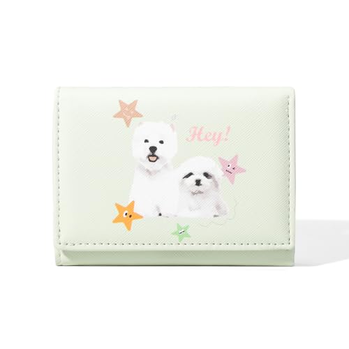 Yemlarey Süßer Geldbeutel Kinder Geldbörse Mini Mädchen Portemonnaie Klein Portmonee Brieftasche für Kinder Teens Mädchen Frauen(Grün) von Yemlarey