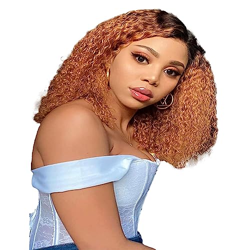 YesJYas Perücke Echthaar Perücke Damen Brazilian Virgin Hair Wig 150% Destiny 4x4 Lace Fronte Wig 1B/30 Coloured Short Body Wave Wig HD Lace Wig For Women 8 Zoll von YesJYas