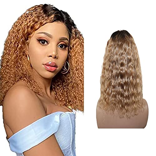 YesJYas Echthaar Perücken Damen Ombre Blonde Wig 4x4 Lace Front Wig Human Hair Bob Cut Brazilian Virgin Hair Wig Body Wave Human Hair Wig 1B/27 Color Wig 10 Zoll von YesJYas