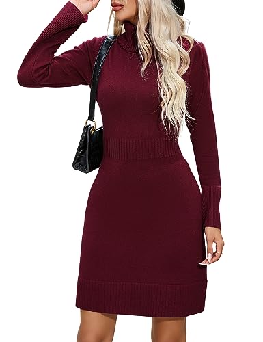 YesPerfect Damen Strickkleid Rollkragen Pullikleid Langarm Winterkleid Einfarbig Pulloverkleid A-Linie Minikleid Elegant Glockenärmel Freizeitkleid (Verpackung MEHRWEG), A-Weinrot, L von YesPerfect