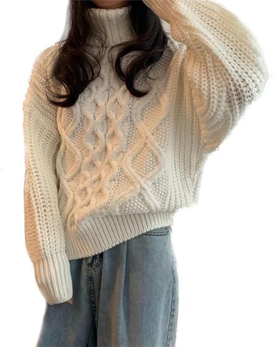 YiLang Damen Pullover - Winter Dicker Strickpullover Damen Retro Kaschmir Pullover Rollkragen Warm Dicke Linie Mode Einfarbig Selbstanbau Stretch Business Party Elegant Und Einfach von YiLang