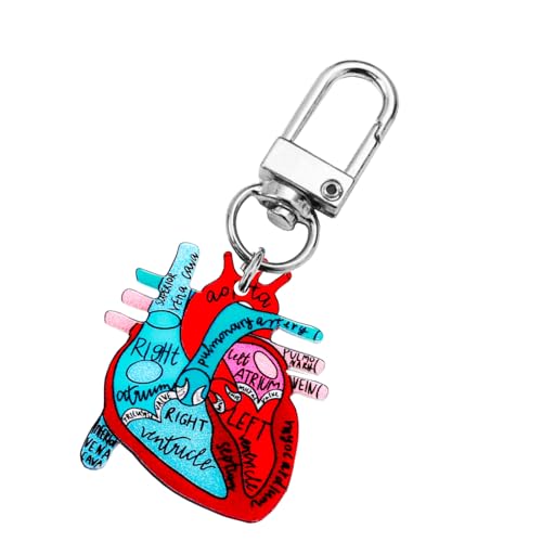 YiNLuax Anatomical Heart Keychain Pendant Educational Keyrings Accessoire Für Physische Studenten Und Gesundheitsberufe Wissenschaftsliebhaber Geschenk von YiNLuax