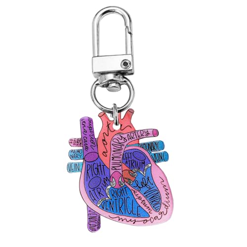 YiNLuax Anatomical Heart Keychain Pendant Educational Keyrings Accessoire Für Physische Studenten Und Gesundheitsberufe Wissenschaftsliebhaber Geschenk von YiNLuax