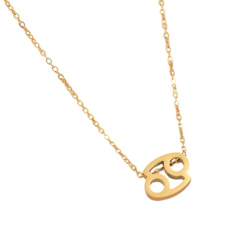 YiNLuax Vielseitige Verstellbare 12 Sternbilder Anhängerkette Für Frauen Teenager Trendy Schmuckzubehör Mit Zartem Handwerkskunst Multi Purpose Charm Halskette von YiNLuax