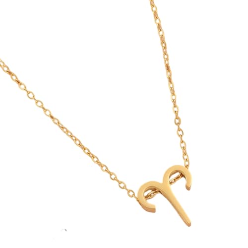 YiNLuax Vielseitige Verstellbare 12 Sternbilder Anhängerkette Für Frauen Teenager Trendy Schmuckzubehör Mit Zartem Handwerkskunst Multi Purpose Charm Halskette von YiNLuax