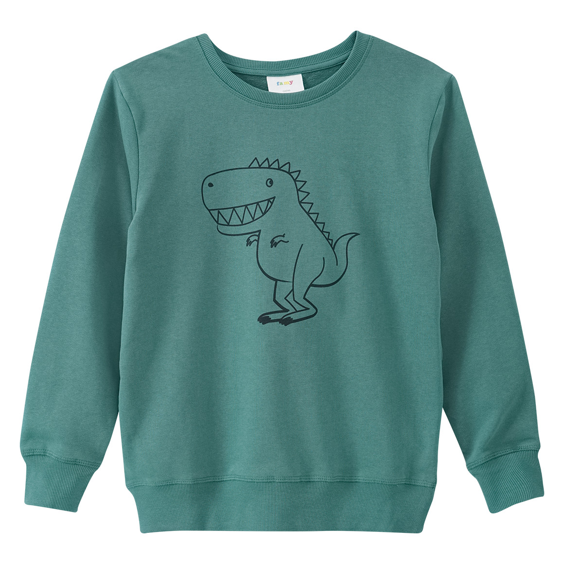 Jungen Sweatshirt mit Dino-Print von Yigga