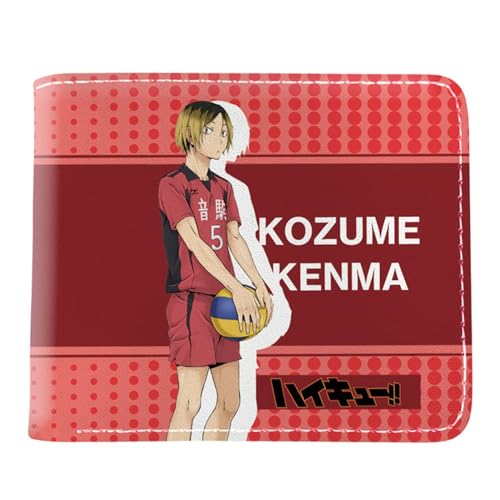 Haiky-uu!! Geldbeutel Kinder, Zweifach Gefalteter Geldbörse Klein, PU Leder Geldbörse Kreditkartenhalter, für Kinder Fans(Color:Multicolor 1) von Yinova