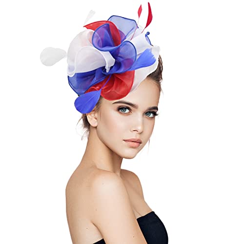 Damen Hut Fascinator Hut Feder Mesh Netz Schleier Party Hut Ascot Hüte Blume Derby Hut mit Clip und Stirnband für Frauen mit Stirnbandclip -Netz Blume Kopfstück Cocktail Pillbox Hut von Yookstar