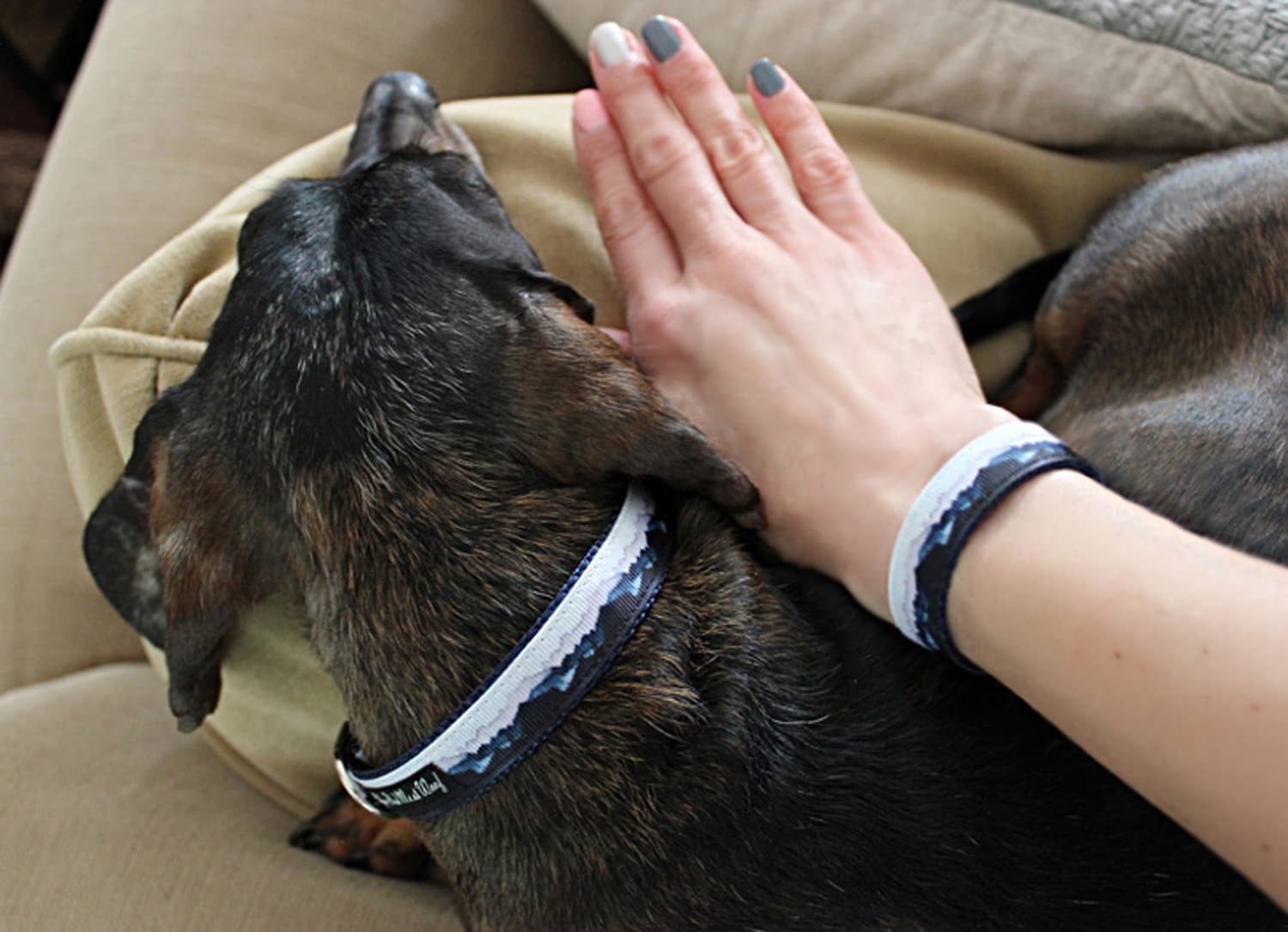 Hundehalsband Armband - Hund Bff Passend Zum Halsband Hundehalsband Armband - Hund Bff Passend Zum Halsband von YouHadMeAtWoof