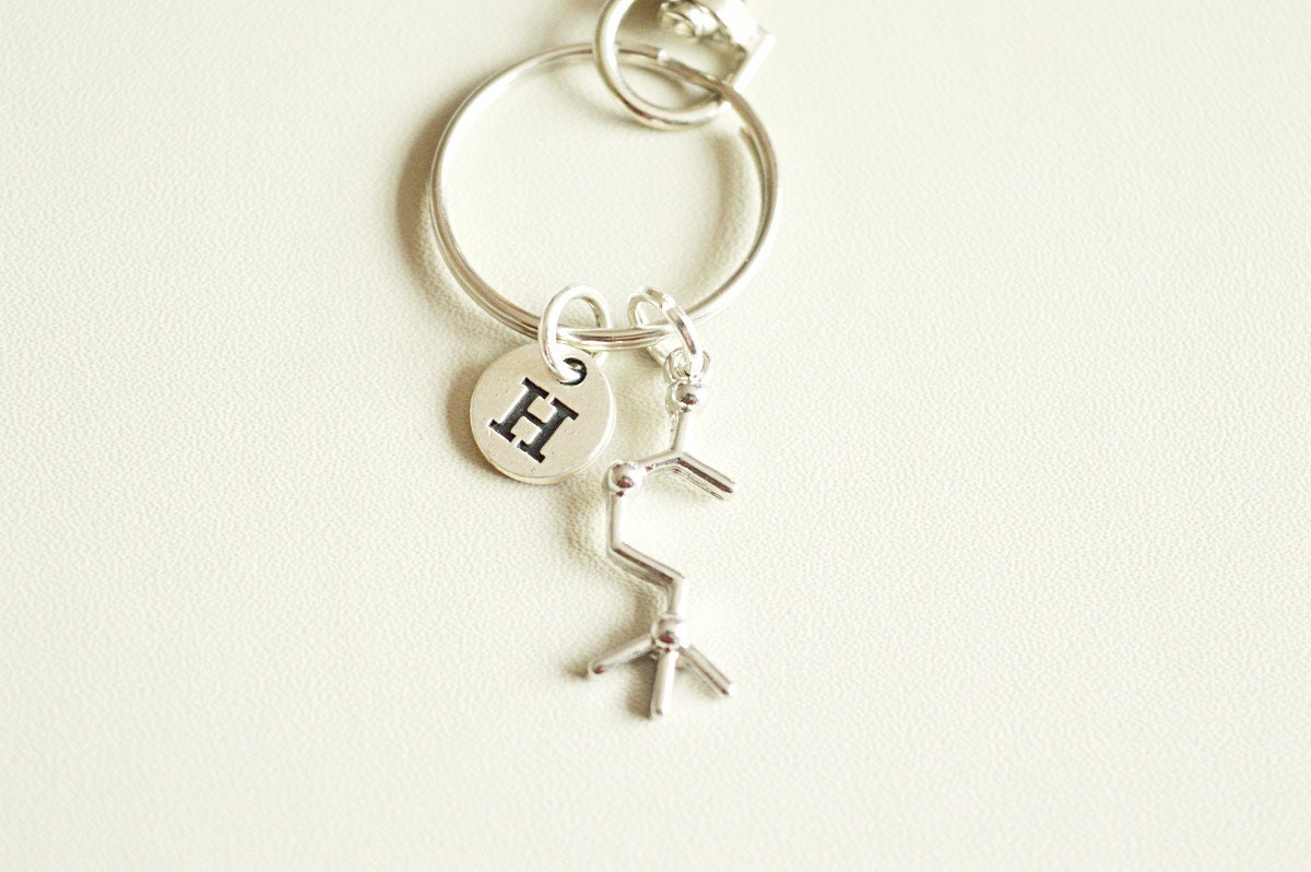 Acetylcholine Schlüsselanhänger, Geschenk, Chemie Molekül Schlüsselring, Biologie Wissenschaft von YouLoveYouShop