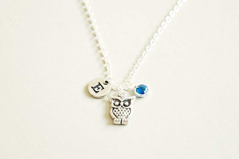 Eule Halskette, Charm Silber Eulen Schmuck, Geschenk, Liebhaber, Thema, Fan, Personalisiert von YouLoveYouShop