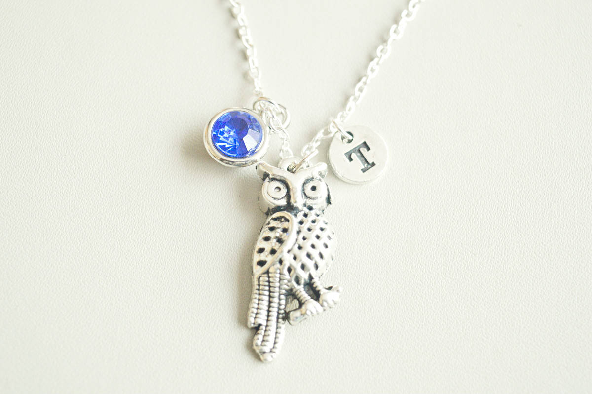 Eule Schmuck, Eulen Halskette, Geschenke, Charm Silber Charm, Tier, Vogel, Nacht, Vogel Halskette. Tier Geschenk, Freund Halskette von YouLoveYouShop