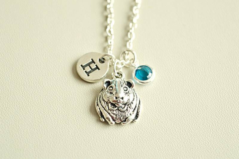 Meerschweinchen Geschenk, Halskette, Schmuck, Hamster Anhänger, Armreif von YouLoveYouShop