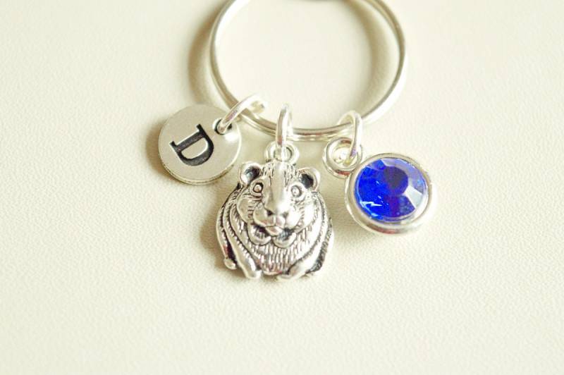 Meerschweinchen Schlüsselanhänger, Geschenk, Tier Hamster, Nager, Biber Geschenk Meerschweinchen Schlüsselanhänger, Geschenk, Tier Hamster, Nager, Biber Geschenk von YouLoveYouShop