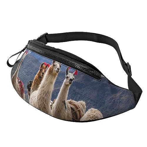 Lamas in The Andes Bauchtasche für Damen und Herren, modische Hüfttasche, Crossbody-Bauchtaschen für Wandern, Laufen, Reisen, Schwarz , Einheitsgröße, Reise-Kleidersack von YoupO