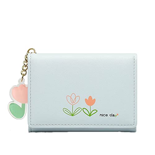 Damen Geldbörsen Groß Günstig Damen Kleine Mode Geldbörse Multi Card ID Bag Damen Geldbörse Clutch Bag Schlüsseletui mit Geldscheinfach und Münzfach (Light Blue, One Size) von Youyu77