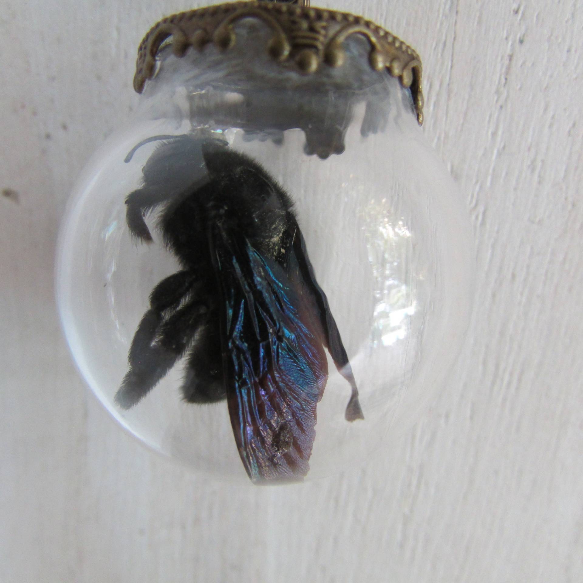 Schwarze Bienenkette Schwarze Bienenkette von YsArt