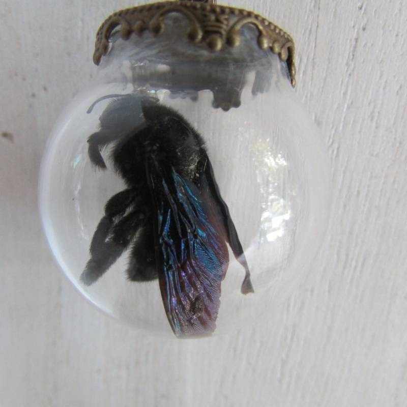 Schwarze Bienenkette von YsArt