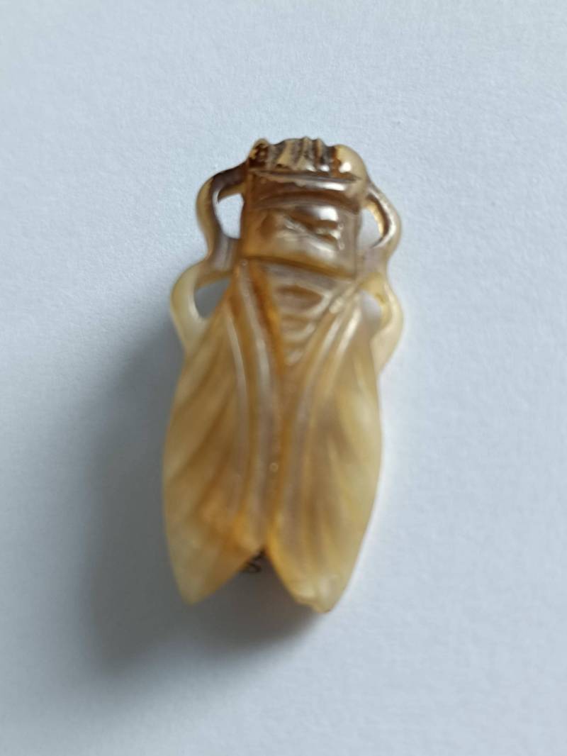 Zikadenbrosche Zikadenbrosche von YsArt