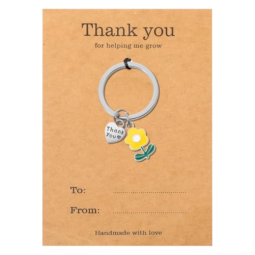Yuanchu Teacher Appreciation Keychain Geschenke, Teacher Day Danke Hilfe mir wachsen Schlüsselanhänger Lehrer Geschenk Schlüsselring Danke Geschenk Ruhestand Referendariat Abschiedsgeschenk Muttertag von Yuanchu