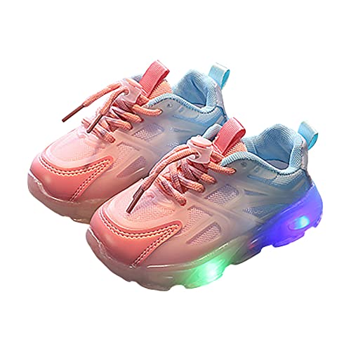 YueYue Mädchen Sneaker Schuhe Turnschuhe Schnürsenkel Sportschuhe Laufschuhe Hallenschuhe Sneakers Leicht Atmungsaktiv Tennisschuhe Festliche Kinderschuhe Fitnessschuhe für Sneaker Damen (24 Toddler) YueYue Mädchen Sneaker Schuhe Turnschuhe Schnürsenkel Sportschuhe Laufschuhe Hallenschuhe Sneakers Leicht Atmungsaktiv Tennisschuhe Festliche Kinderschuhe Fitnessschuhe für Sneaker Damen (24 Toddler) von YueYue