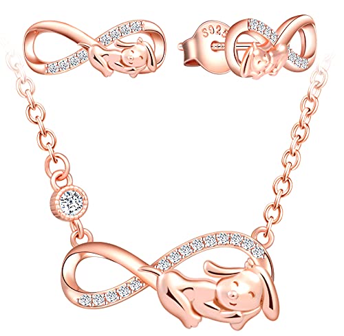 Yumilok Unendlichkeit Kette Hund Damen Halskette 925 Sterling Silber Mädchen mit Anhänger Zirkonia Ohrringe Damen Ohrstecker Damen Schmuck Set Mädchen Rosegold von Yumilok