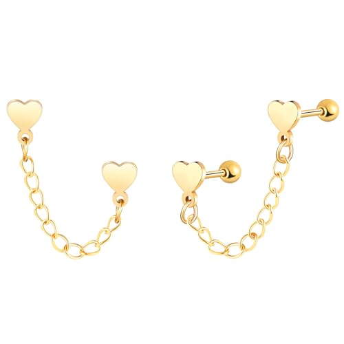 Yumilok Ketten Herz Damen Ohrringe Ohrstecker Herren Männer Edelstahl Fake Plugs Ohrringe Schwarz Silber Ohr Tunnel Ohrringe Piercing Knorpel Helix Tragus von Yumilok