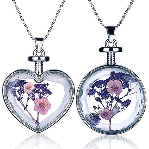 Yumilok Mehrfarbige Trockene Blumen Transparent Herz/Rund Anhänger Halskette Legierung Glas Flasche Kettenänhanger für Damen Mädchen (Multi-B) von Yumilok