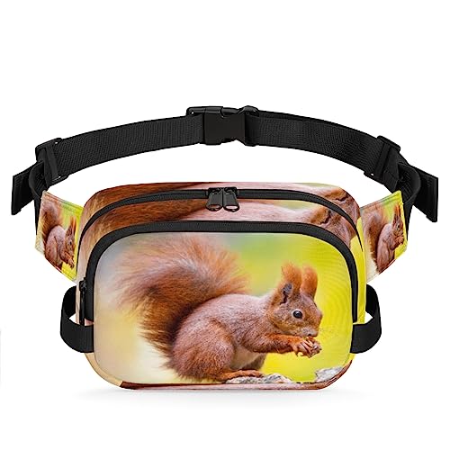 Bauchtasche mit Tiermotiv, Eichhörnchen, Gürteltasche für Damen und Herren, niedliches Eichhörnchen, modische Umhängetasche, Hüfttasche mit verstellbarem Riemen für Outdoor, Workout, Freizeit, Reisen, von Yzrwebo