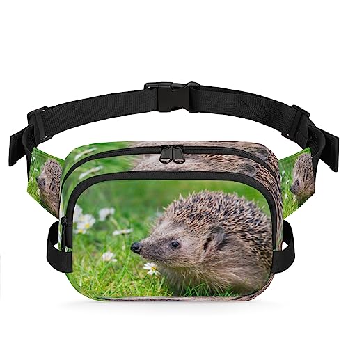 Hedgehog Bauchtasche Gürteltasche für Damen Herren Tier Gänseblümchen Blume Hüfttasche Mode Crossbody Tasche Hüfte Bauchtasche mit verstellbarem Gurt für Outdoor Workout Casual Reisen Laufen Wandern von Yzrwebo