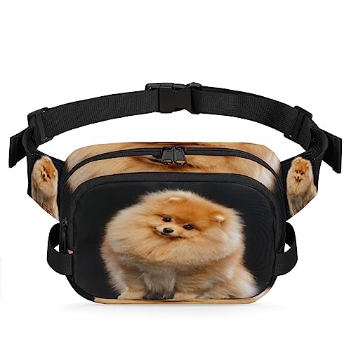 Pomeranian Puppy Fanny Packs Gürteltasche für Frauen Mann Hund Hüfttasche Mode Crossbody Tasche Hüfte Bauchtasche mit verstellbarem Gurt für Outdoor Workout Casual Reisen Laufen Wandern Radfahren, von Yzrwebo