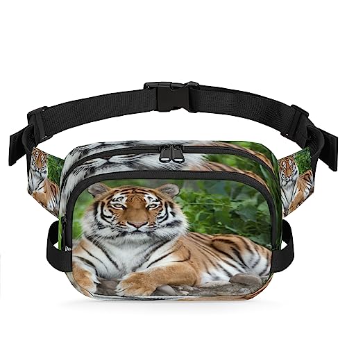 Tiger Tier Bauchtasche Gürteltasche für Damen Herren Tiger Hüfttasche Mode Crossbody Tasche Hüfte Bauchtasche mit verstellbarem Gurt für Outdoor Workout Casual Reisen Laufen Wandern Radfahren, von Yzrwebo