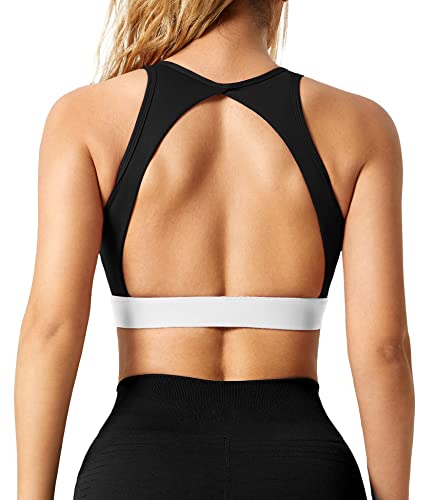 ZAAYO Damen Sport BH Nahtloser mit Polstern Leichtes Backless Joggen Yoga Jumping Fitness Bra Schwarz Large von ZAAYO