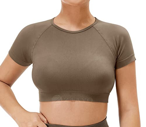 ZAAYO Damen Sport T Shirt Gym Top Slim Basic Summer Crop Kurzarm Frauen Sportoberteil Braun L von ZAAYO