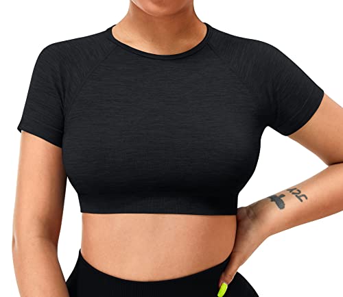 ZAAYO Damen Sport T Shirt Gym Top Slim Basic Summer Crop Kurzarm Frauen Sportoberteil Schwarz L von ZAAYO